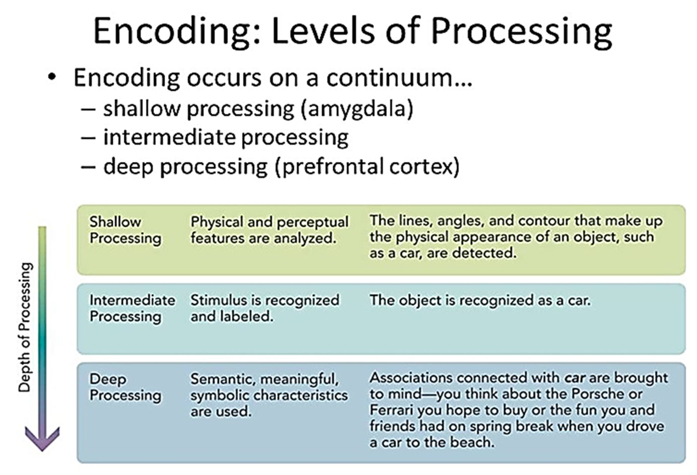 Education 13 00949 g005 Education 13 00949 g005