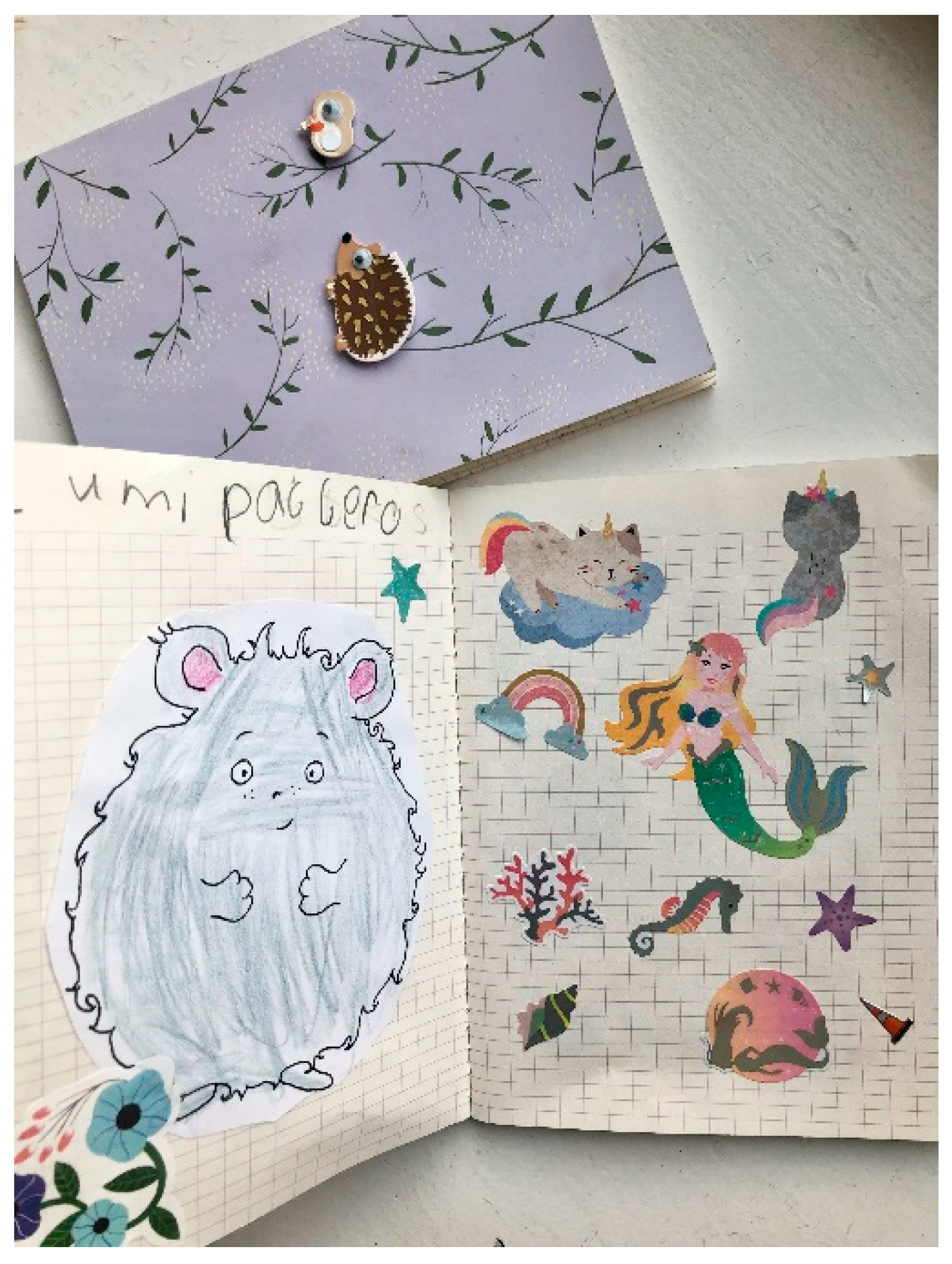 Education 13 01148 g002 Education 13 01148 g002