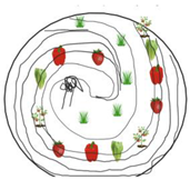 Education 14 00059 i003