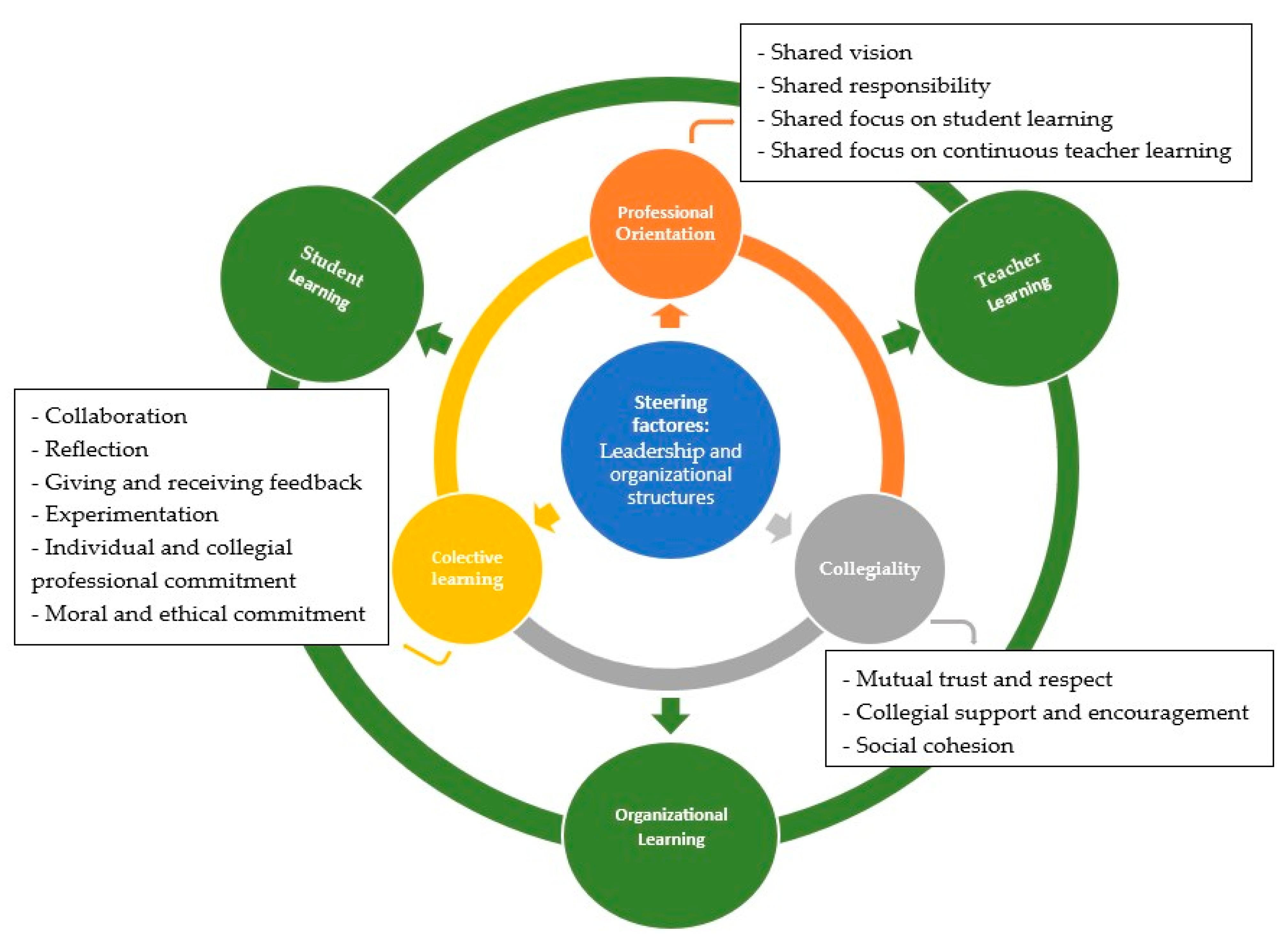 Organizational Learning within the Context of the Functioning of 