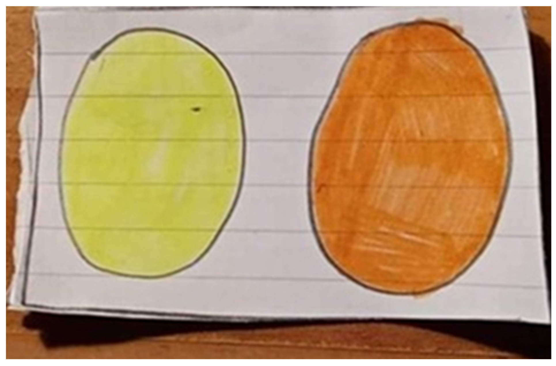 Education 14 00432 g009