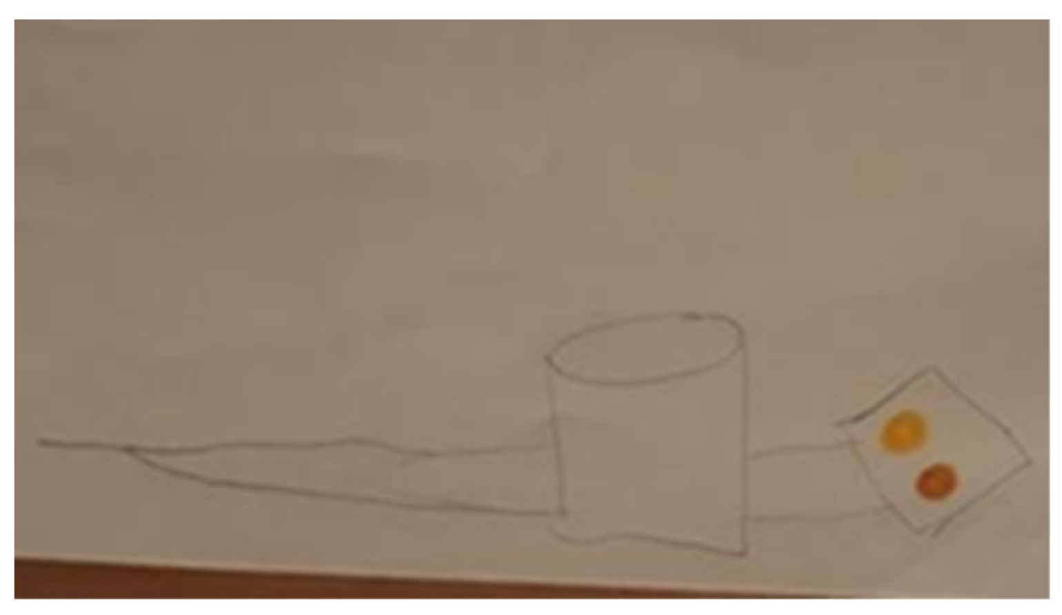 Education 14 00432 g016