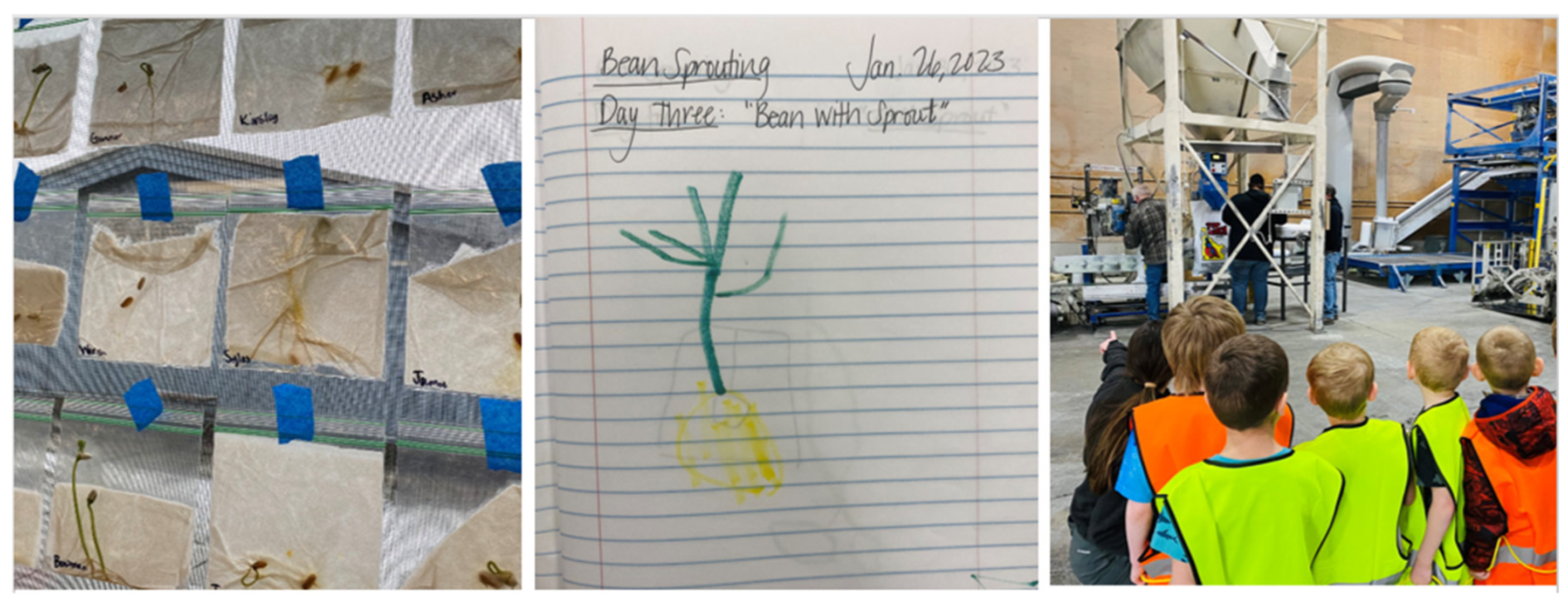 Education 14 00565 g002