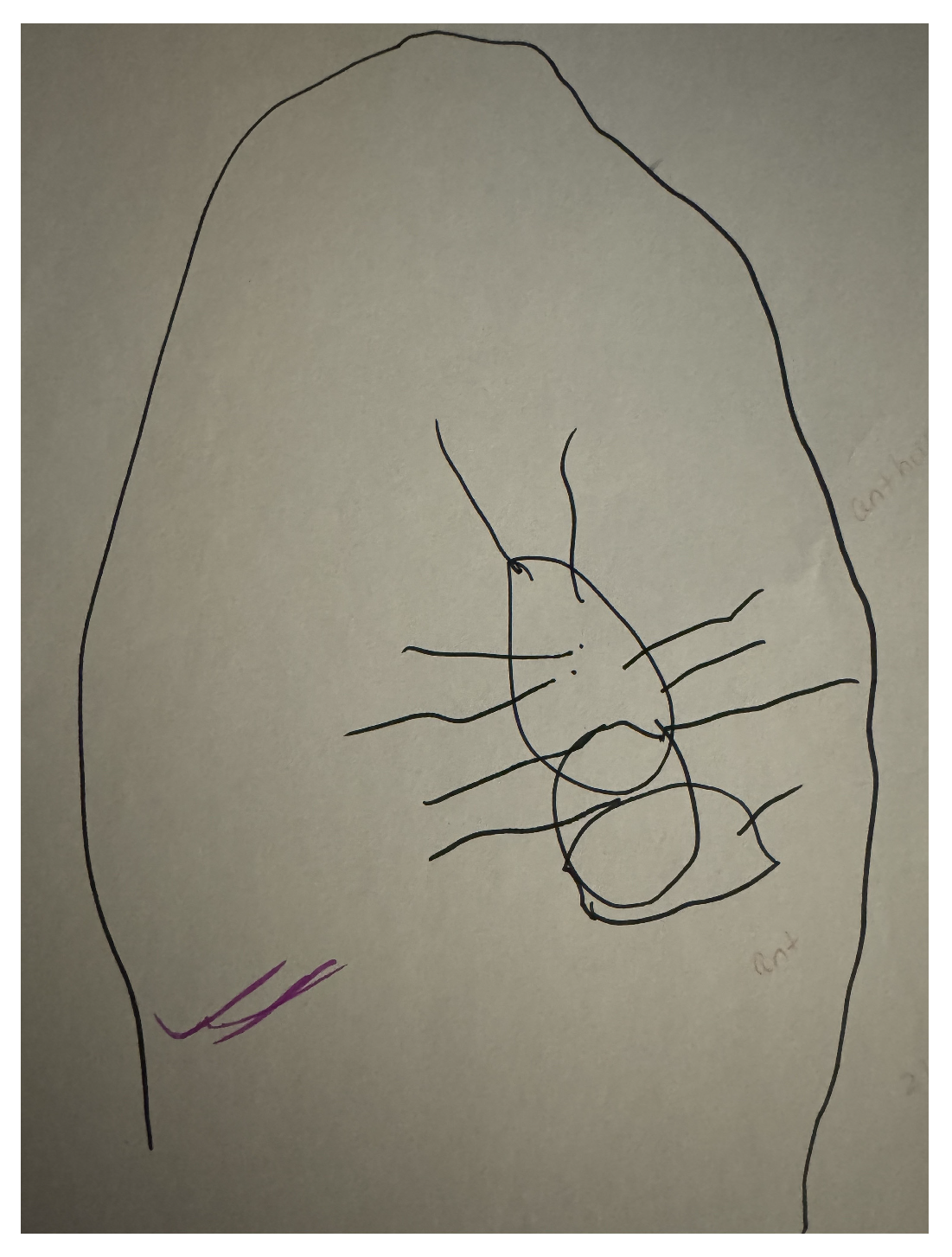 Education 14 00625 g001