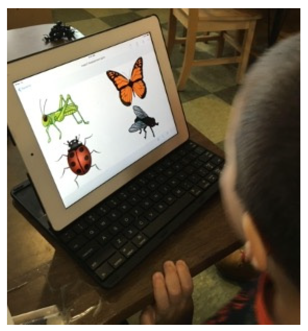 Education 14 00625 g002