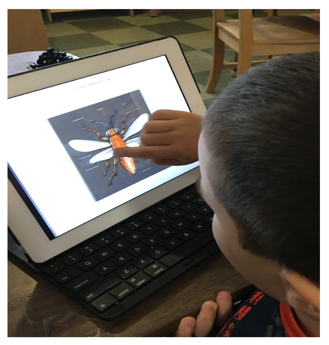 Education 14 00625 g003