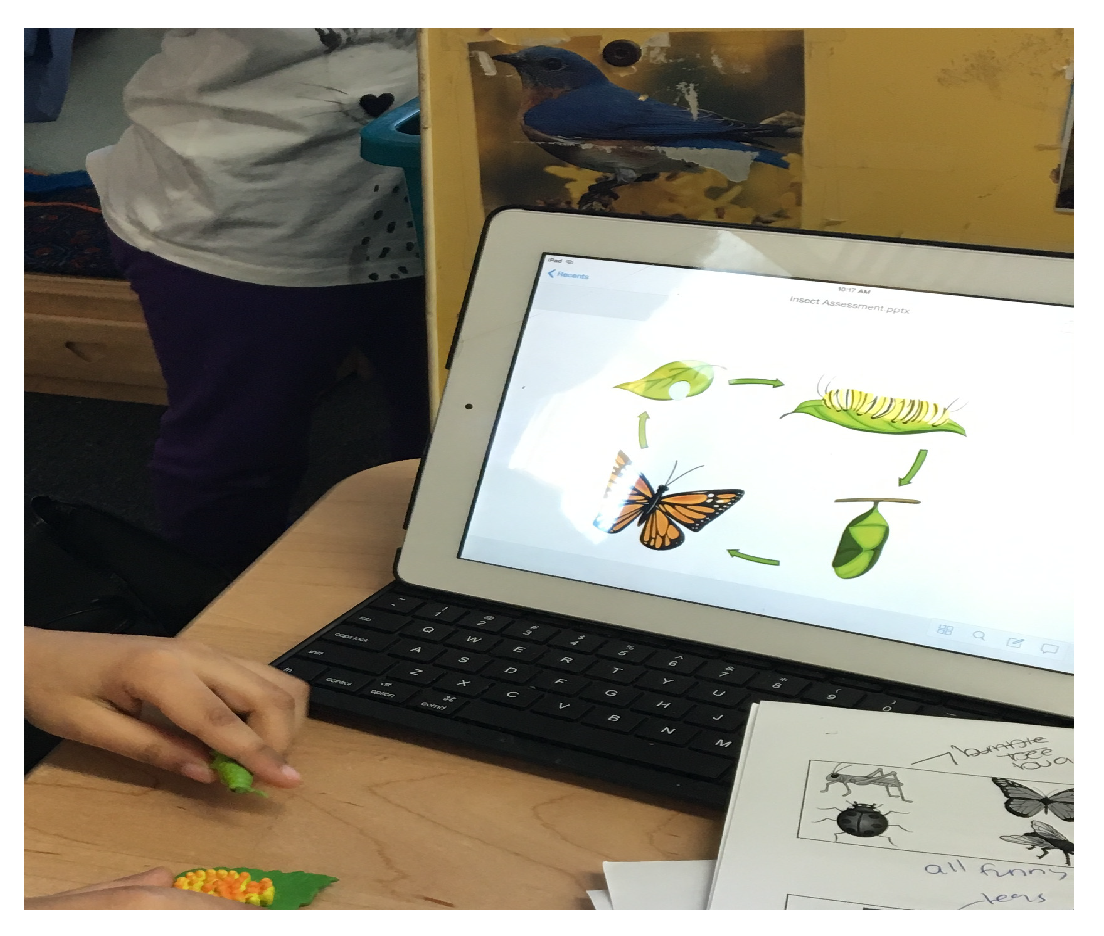 Education 14 00625 g004