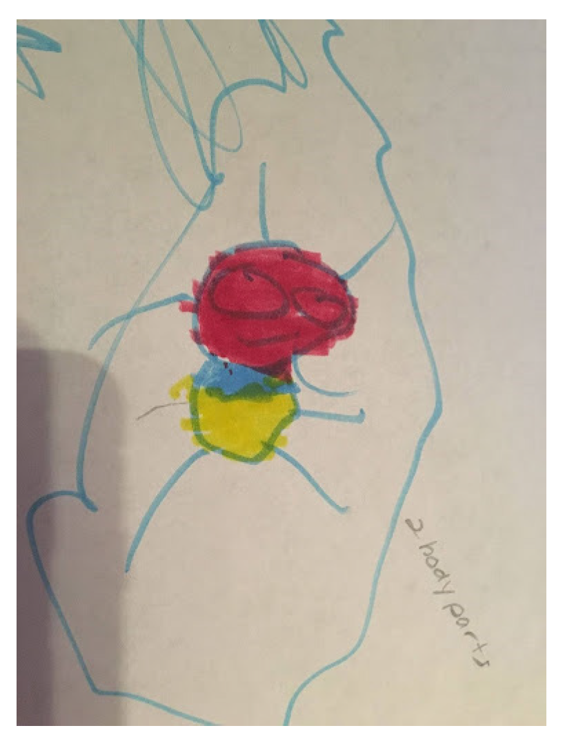 Education 14 00625 g008