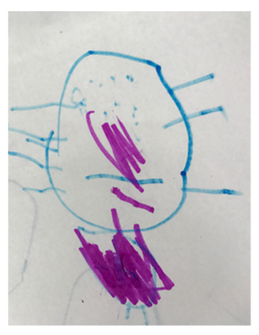 Education 14 00625 g011