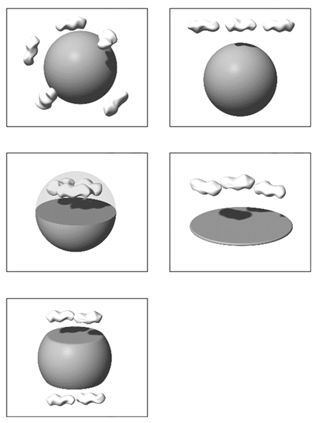 Education 14 00761 i003