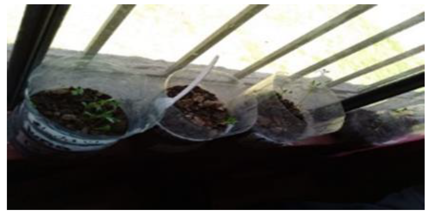 Education 14 00805 g005