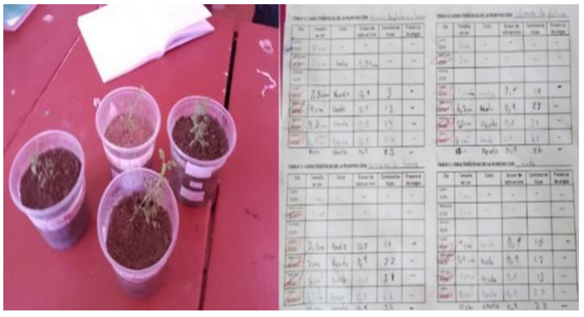 Education 14 00805 g006