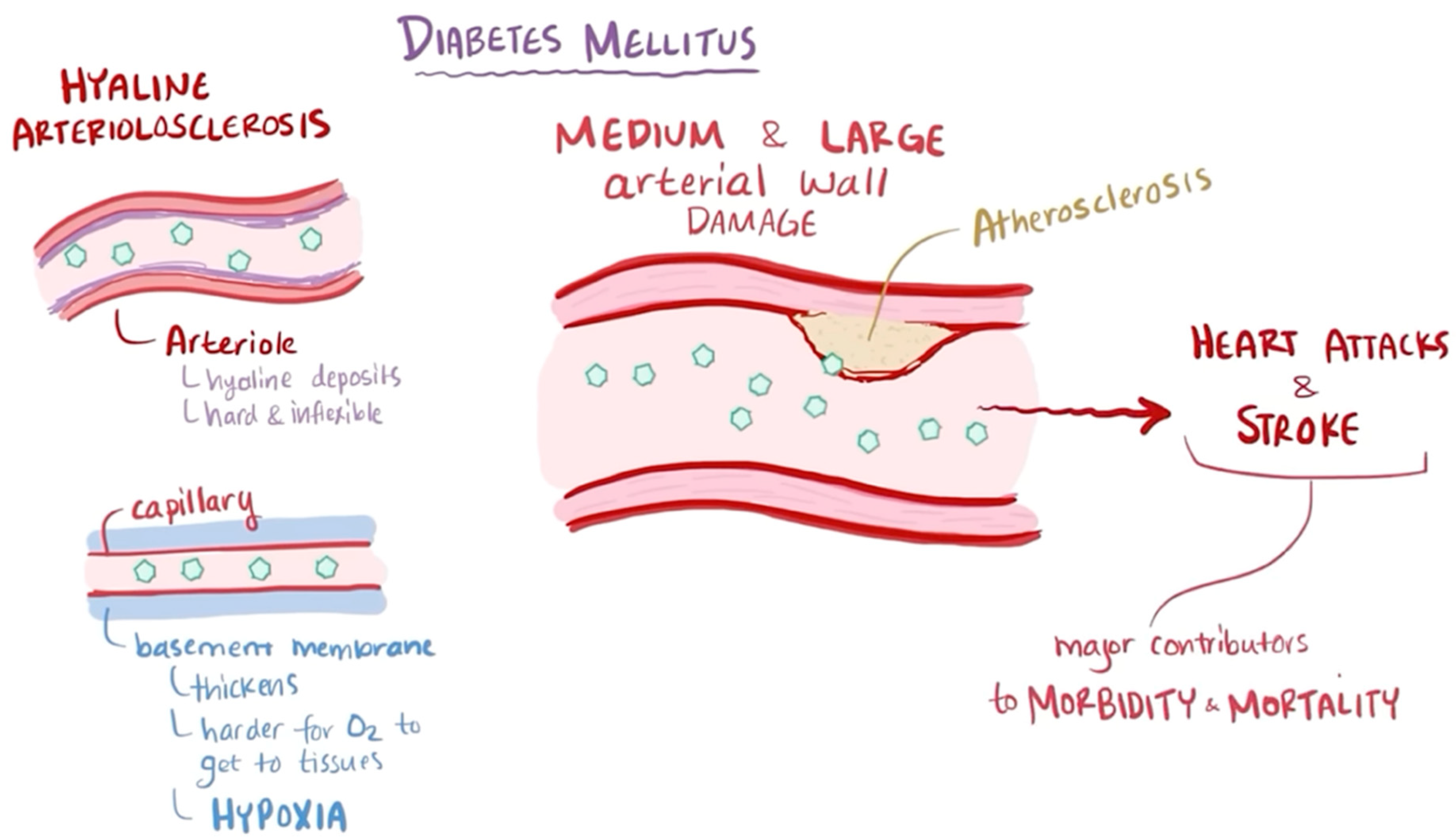 Education 14 00818 g002