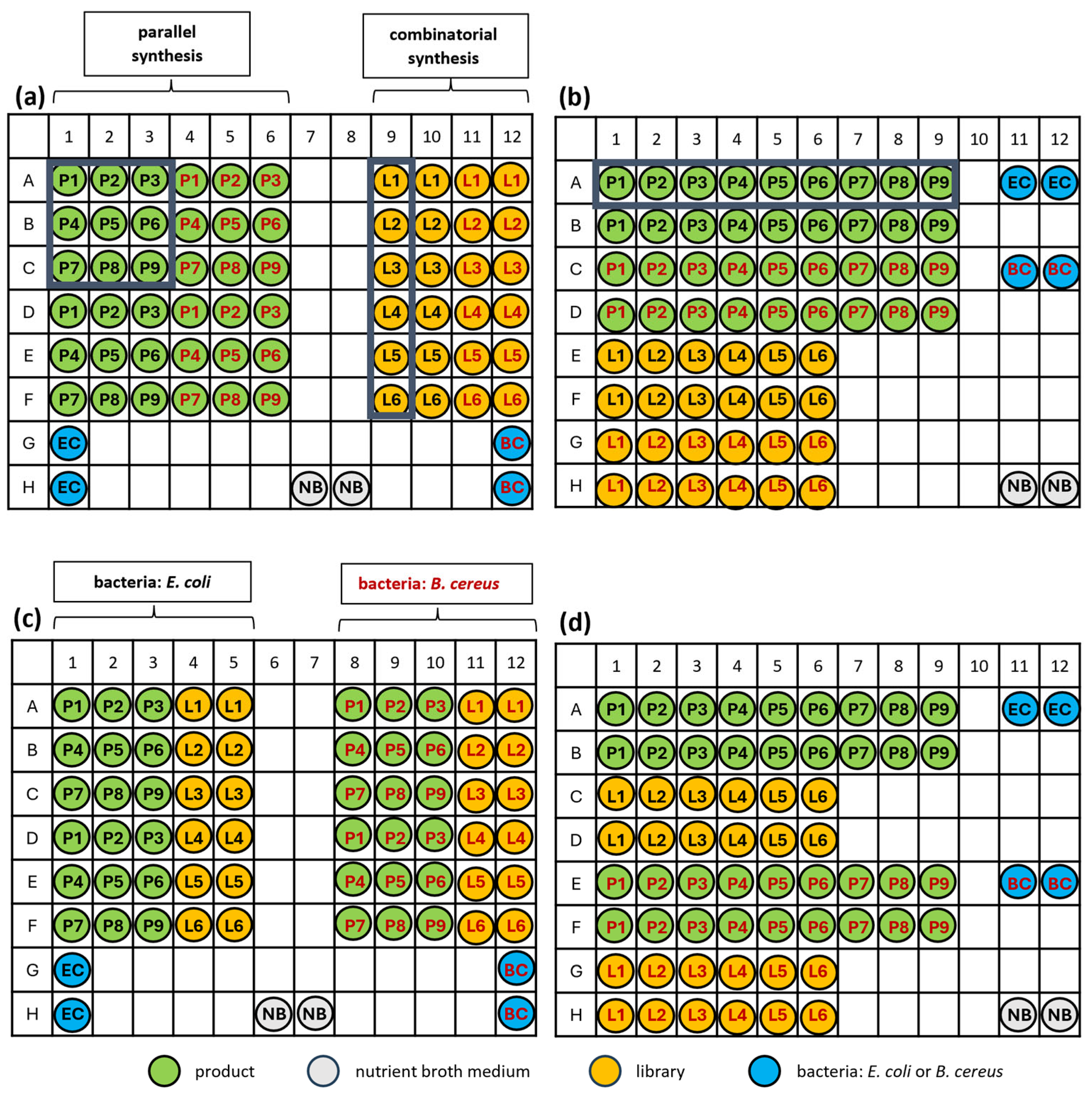 Education 14 01176 g002