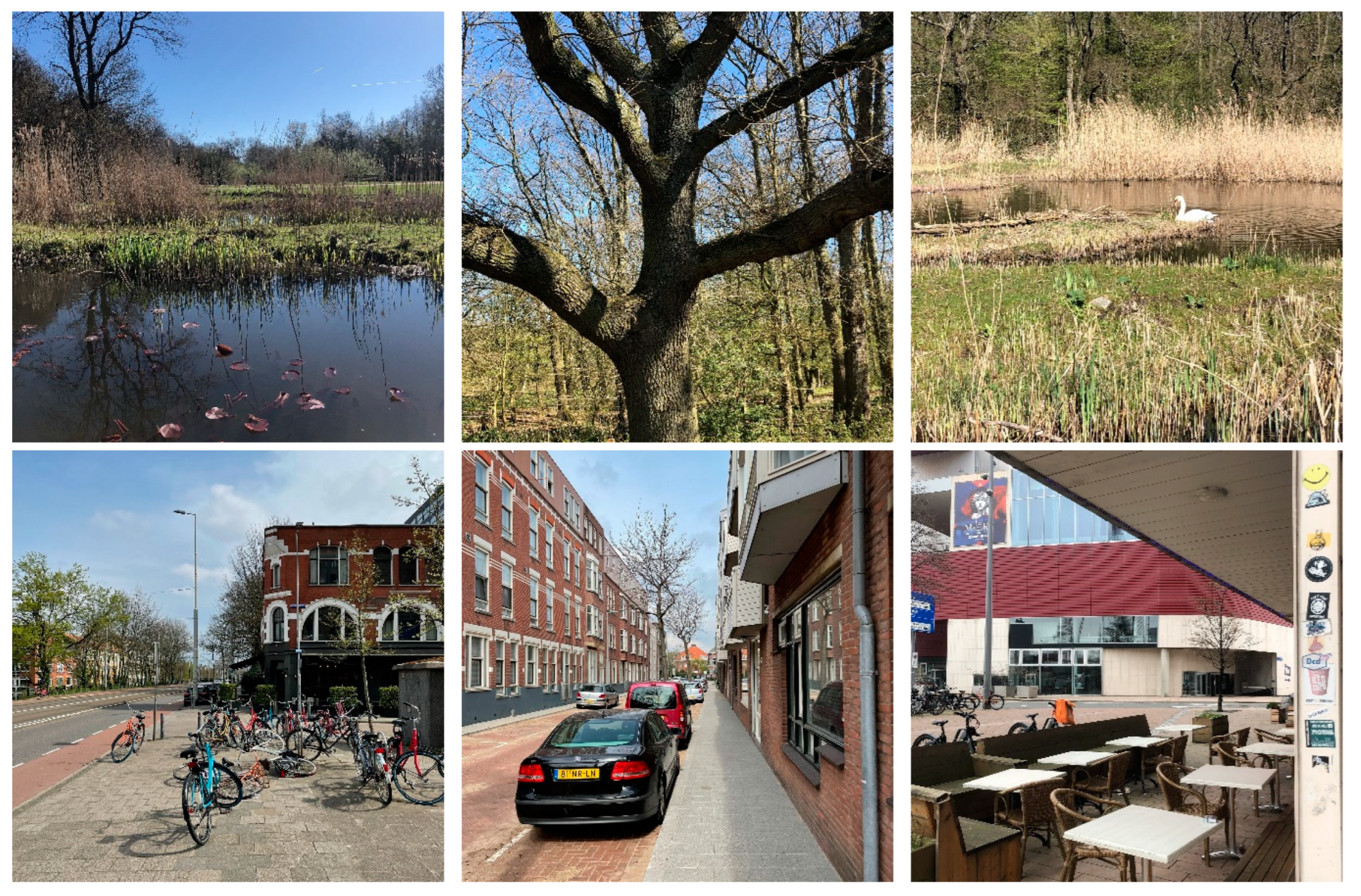 Education 14 01204 g001