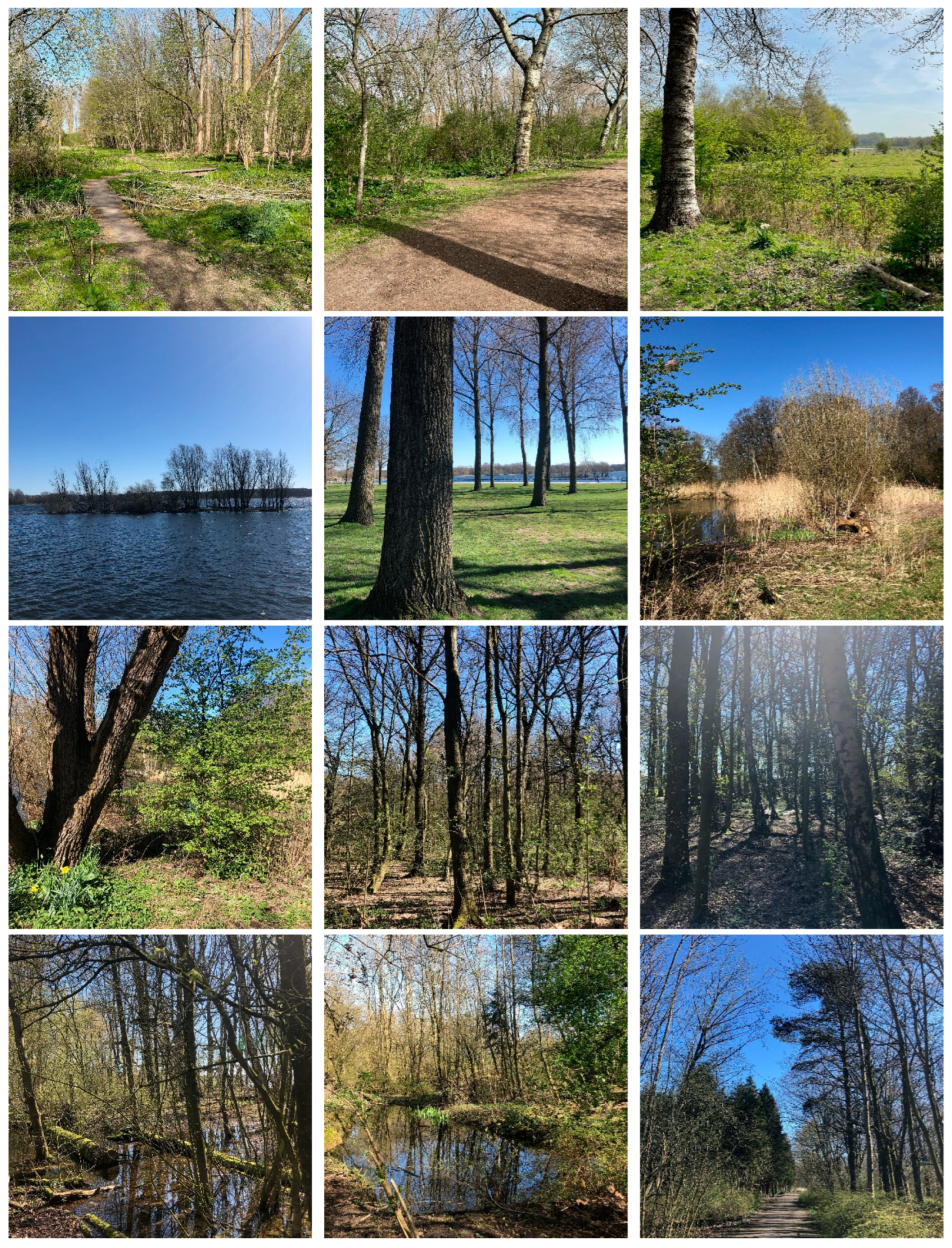 Education 14 01204 g0a3a