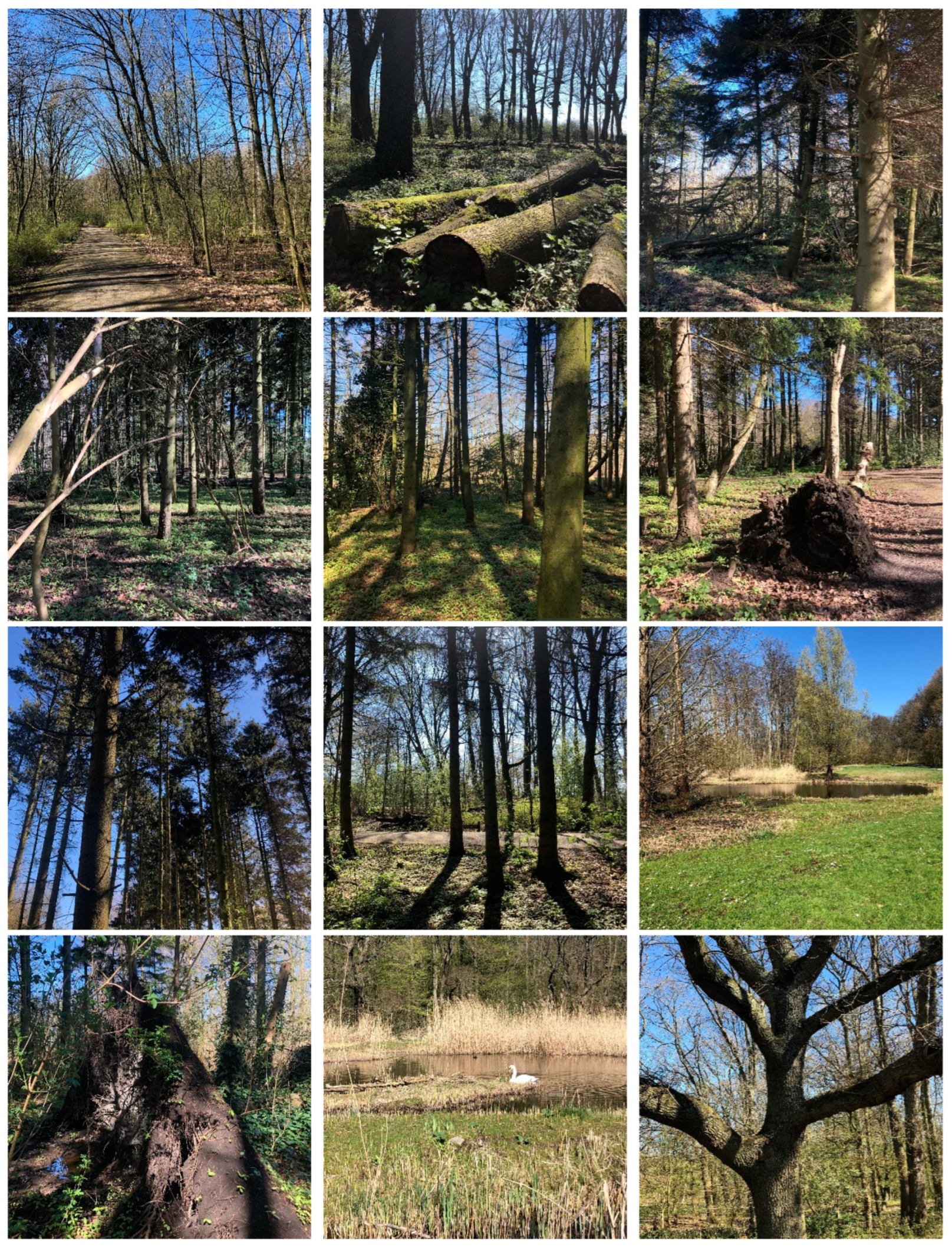 Education 14 01204 g0a3b