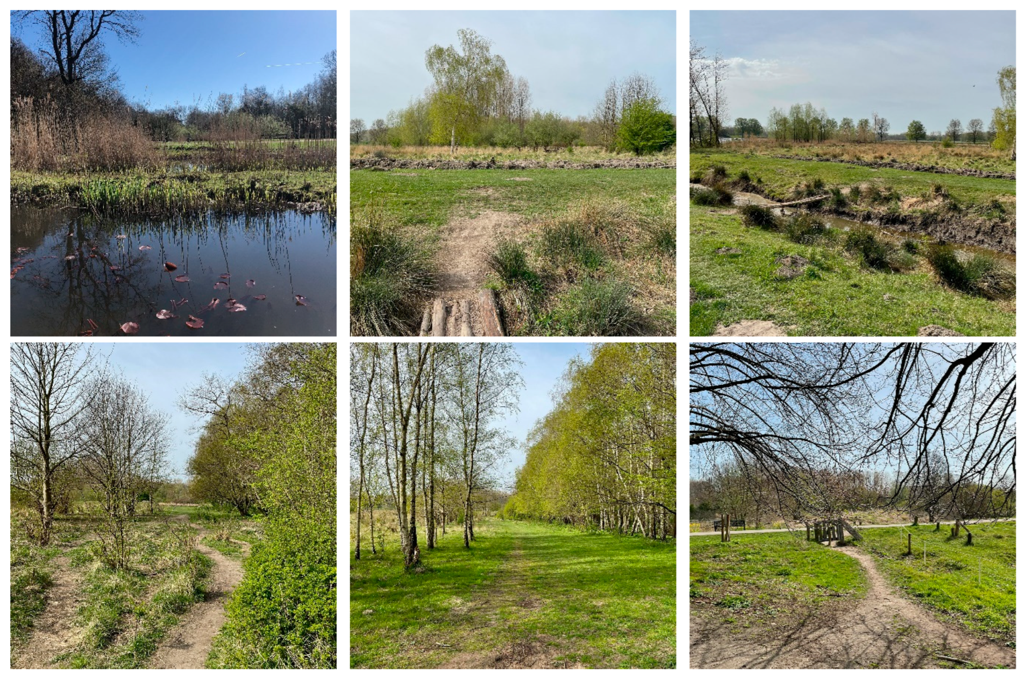 Education 14 01204 g0a3c