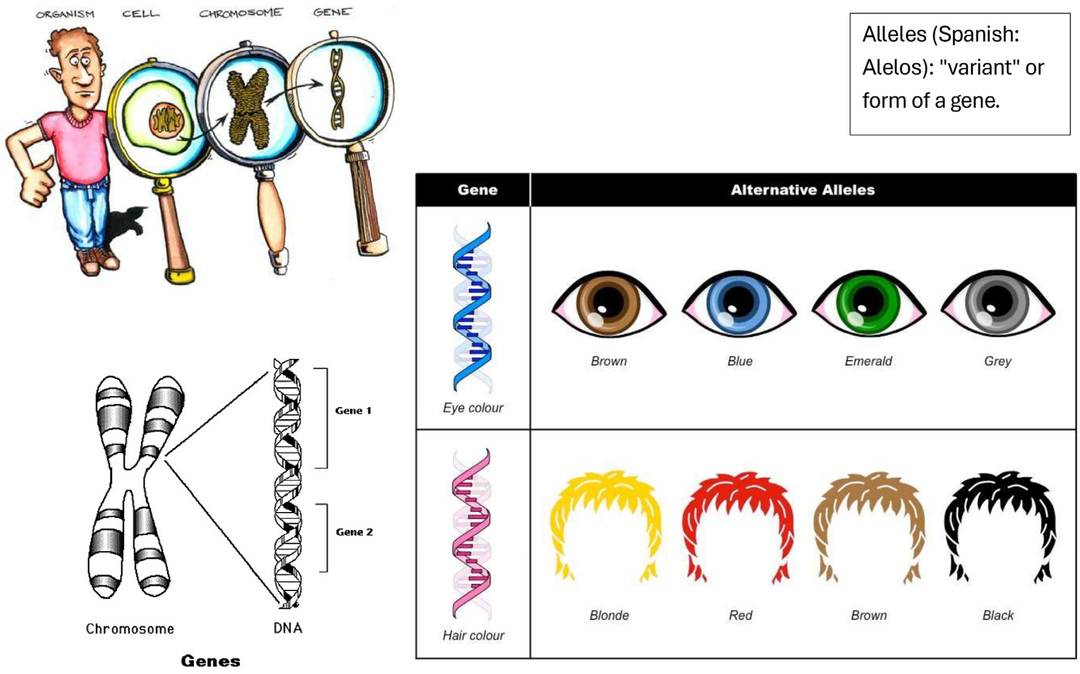 Education 14 01343 g005 Education 14 01343 g005