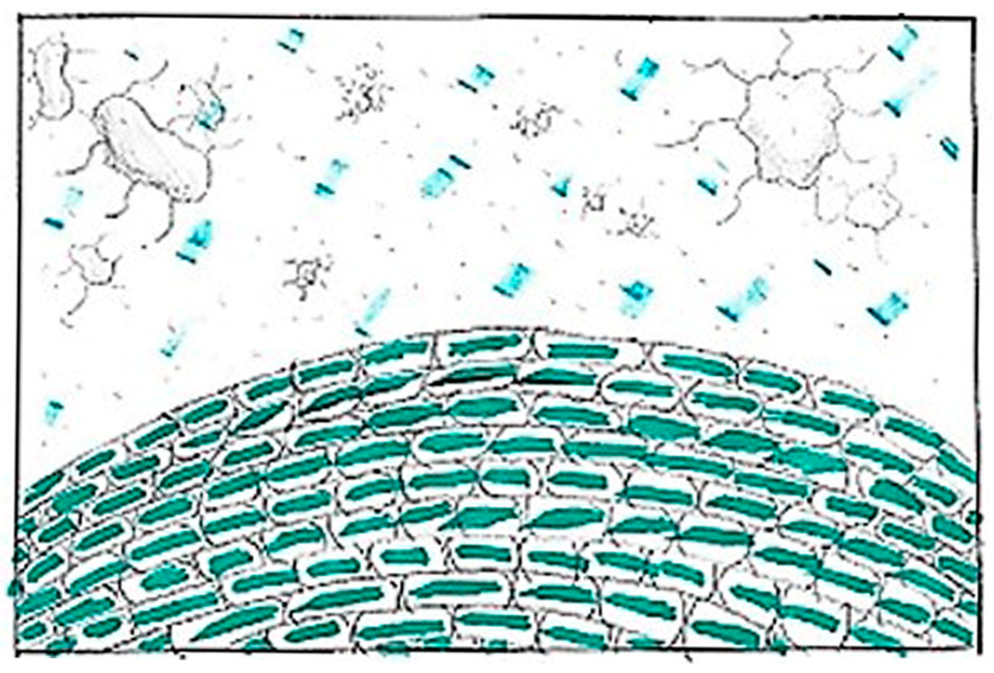 Education 15 00118 g003