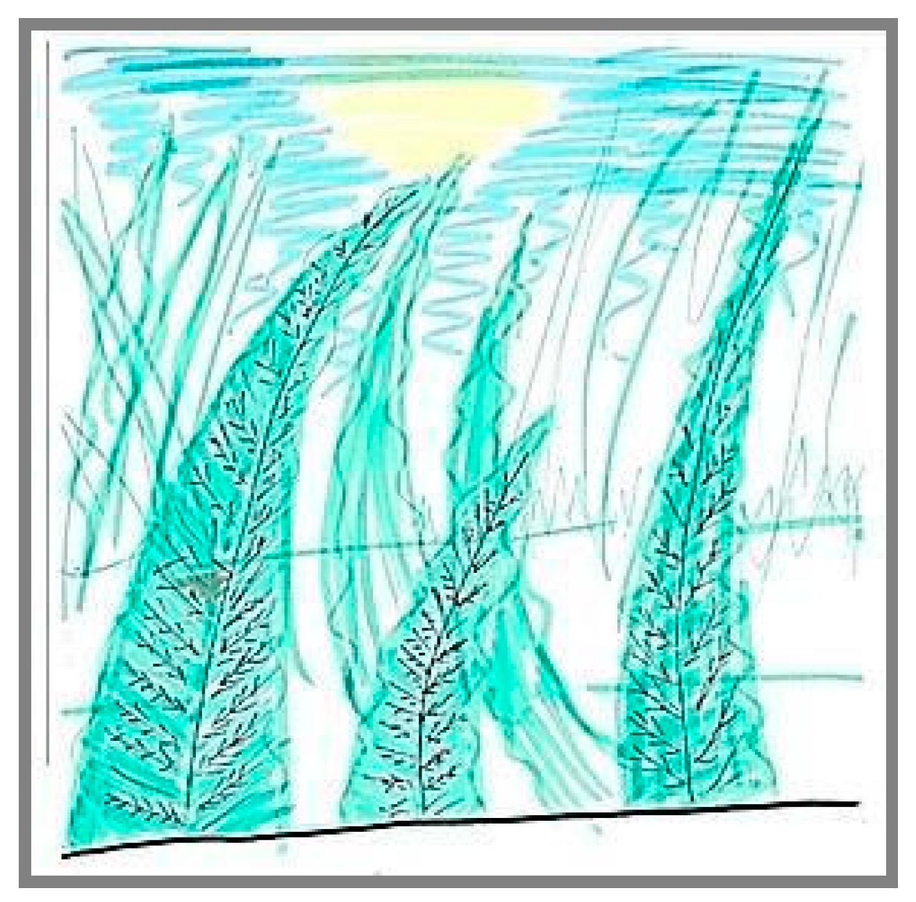 Education 15 00118 g008