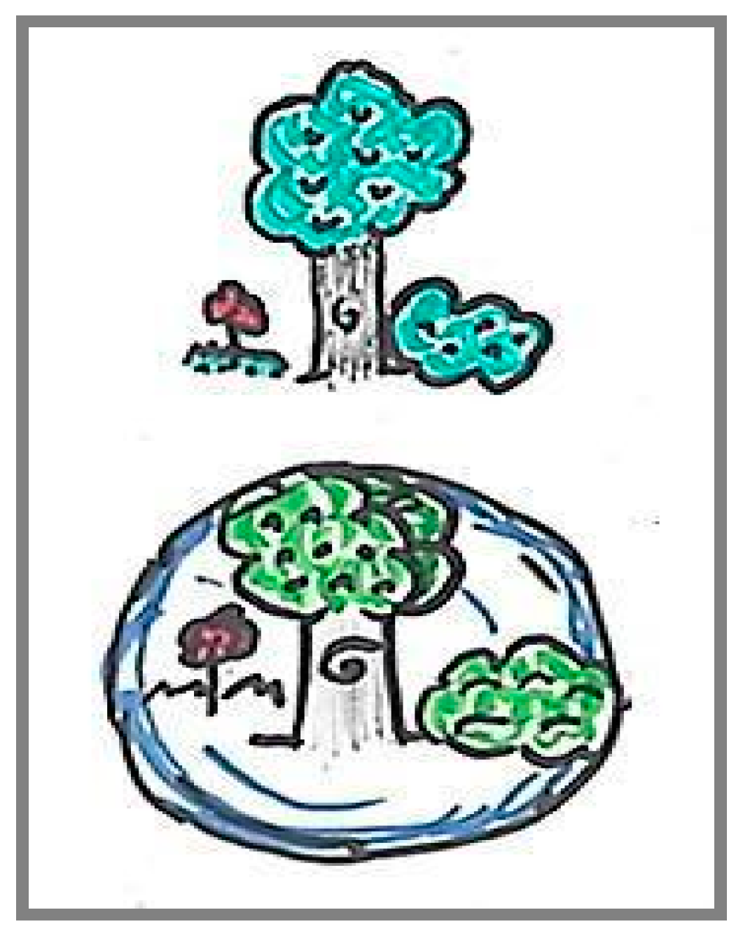 Education 15 00118 g010