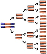 Education 15 00123 i001