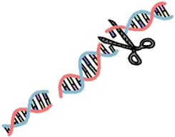 Education 15 00123 i002