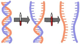 Education 15 00123 i003