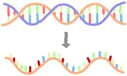 Education 15 00123 i004