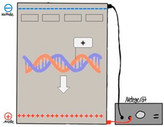 Education 15 00123 i005