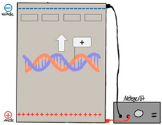 Education 15 00123 i007