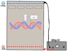 Education 15 00123 i008