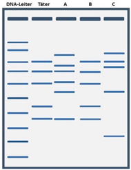 Education 15 00123 i009