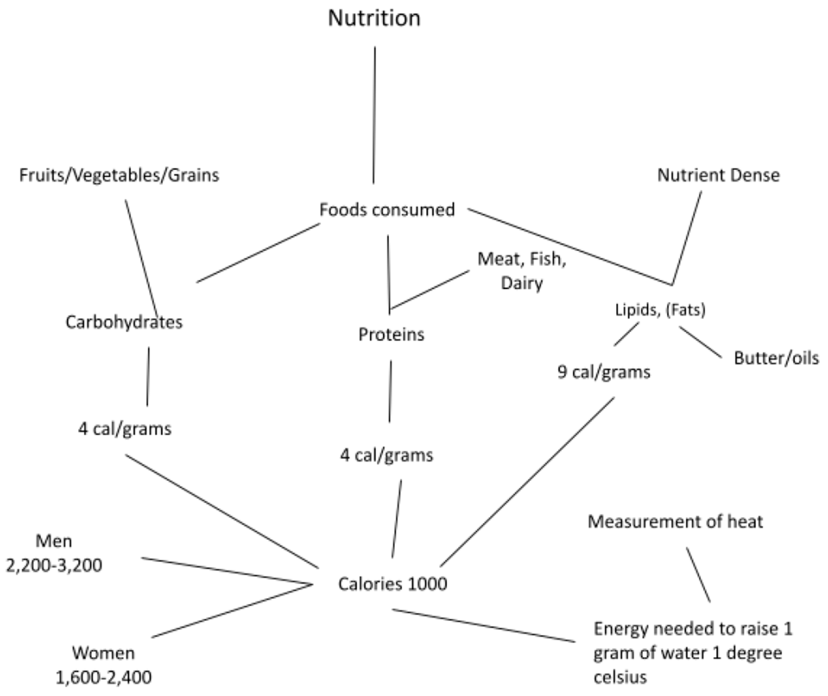 Education 15 00318 g001
