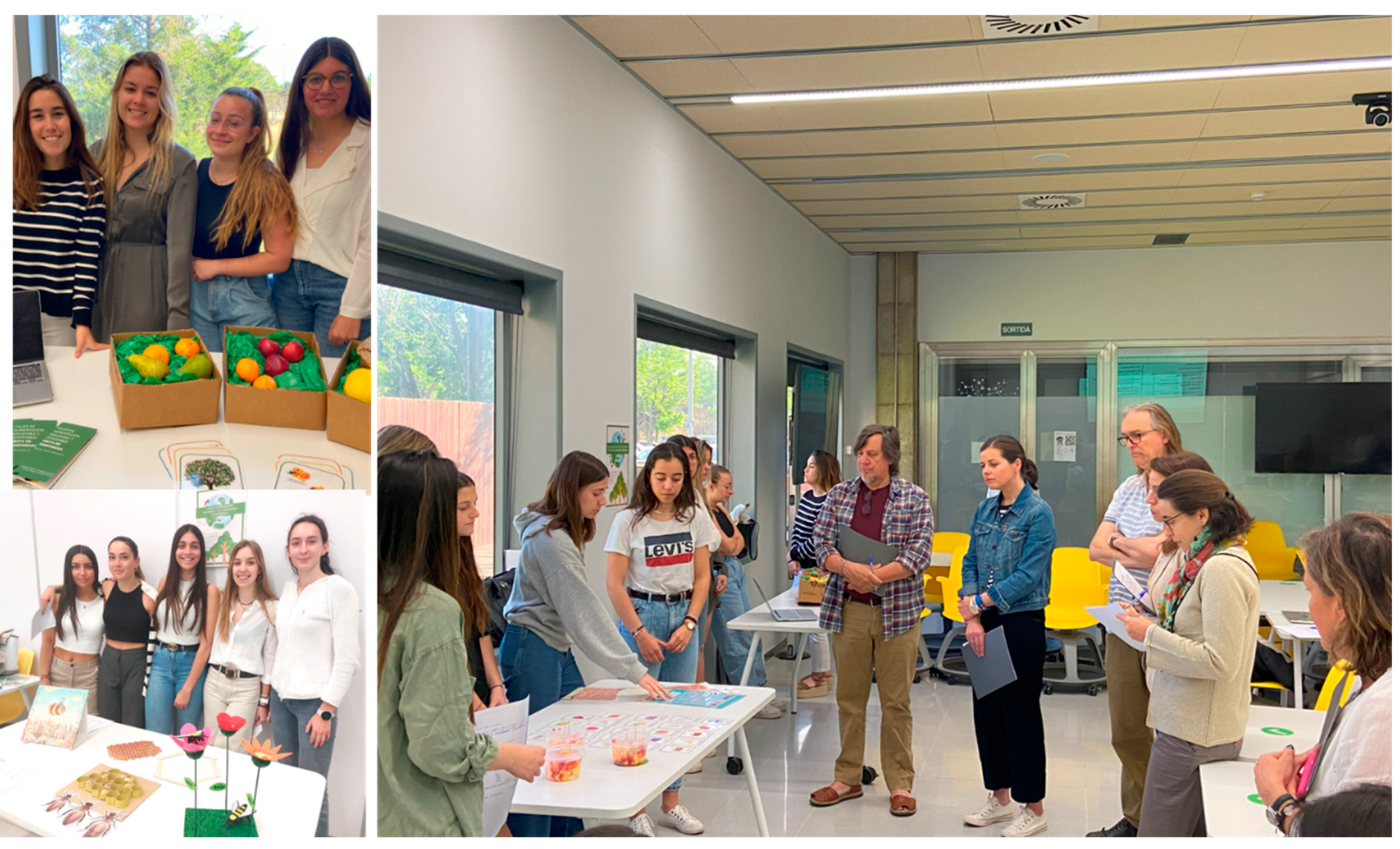 Education 15 00321 g003 Education 15 00321 g003