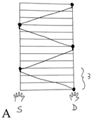 Education 15 00387 i002