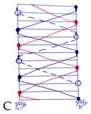 Education 15 00387 i004