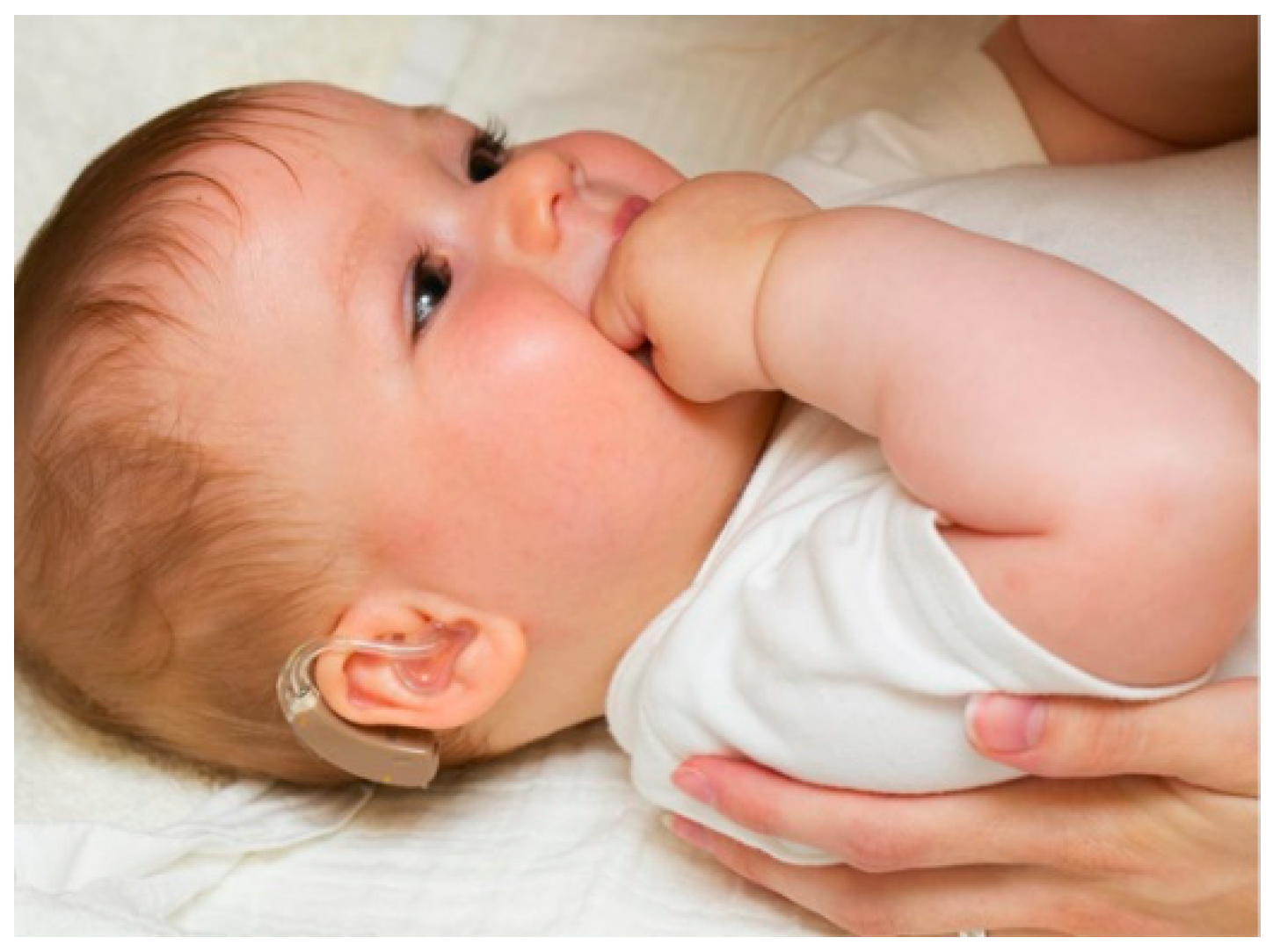 Education 15 00546 g002