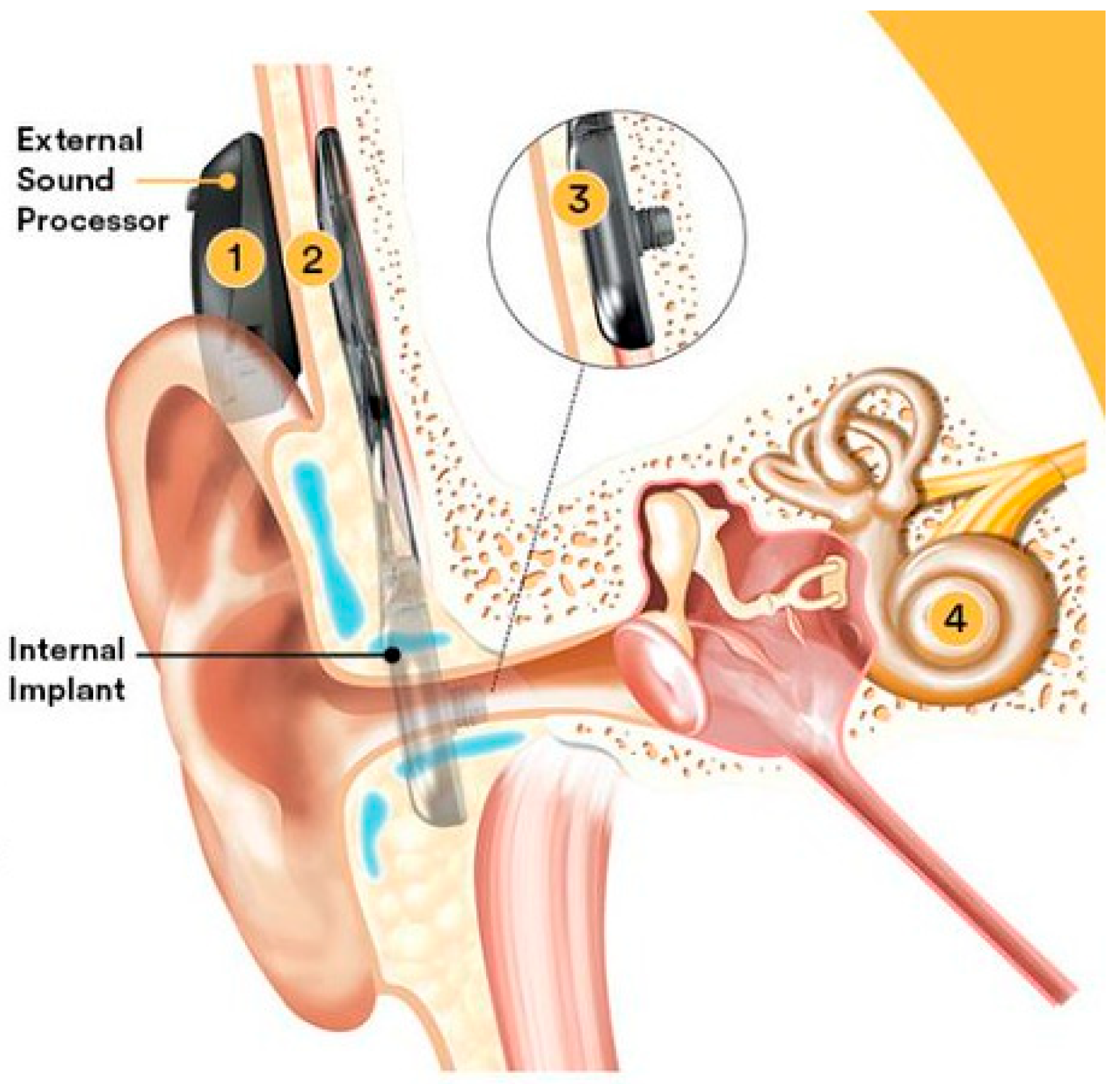 Education 15 00546 g005