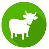 Education 15 00627 i001