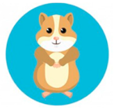 Education 15 00627 i003