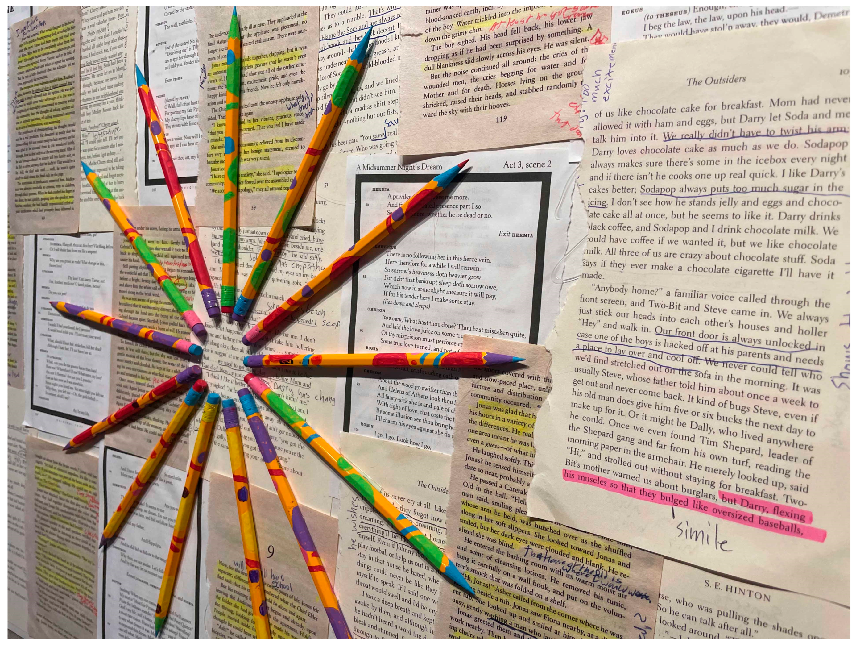 Education 15 00781 g004