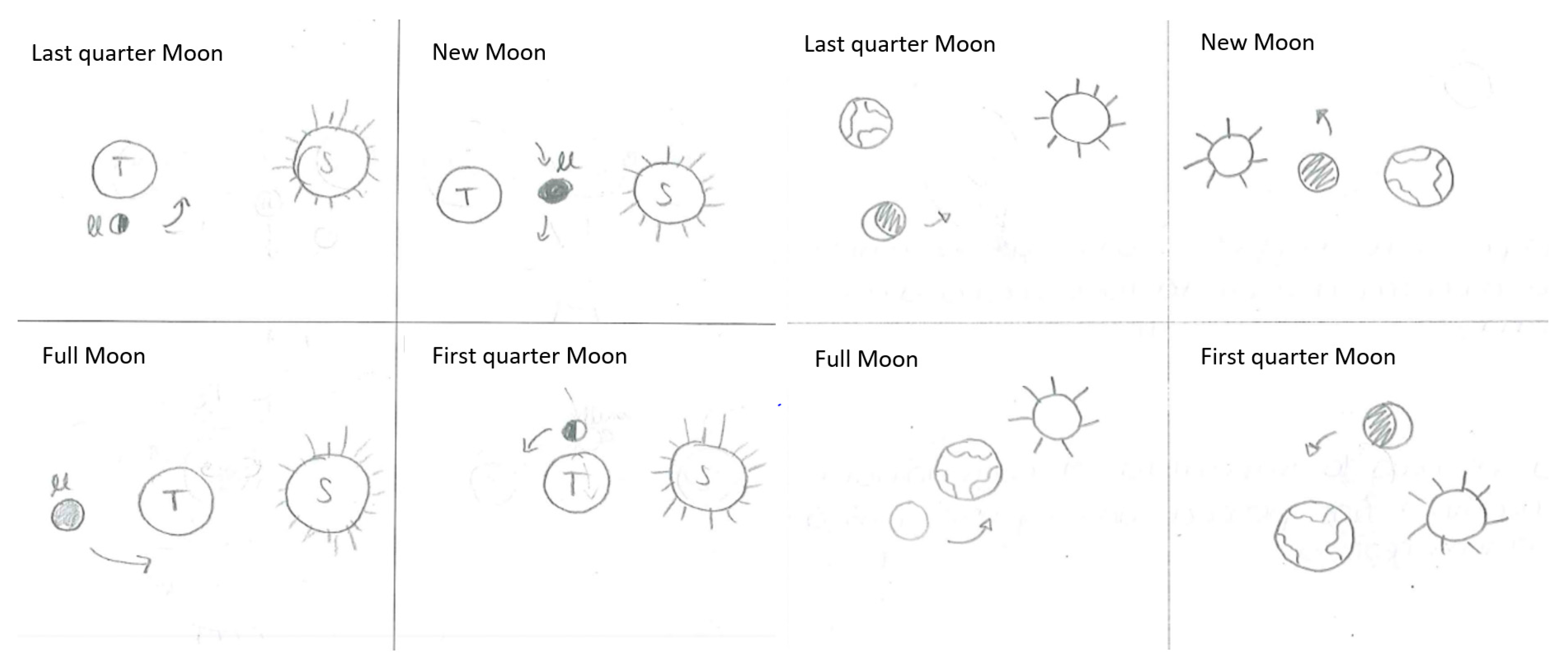 Education 15 00796 g005