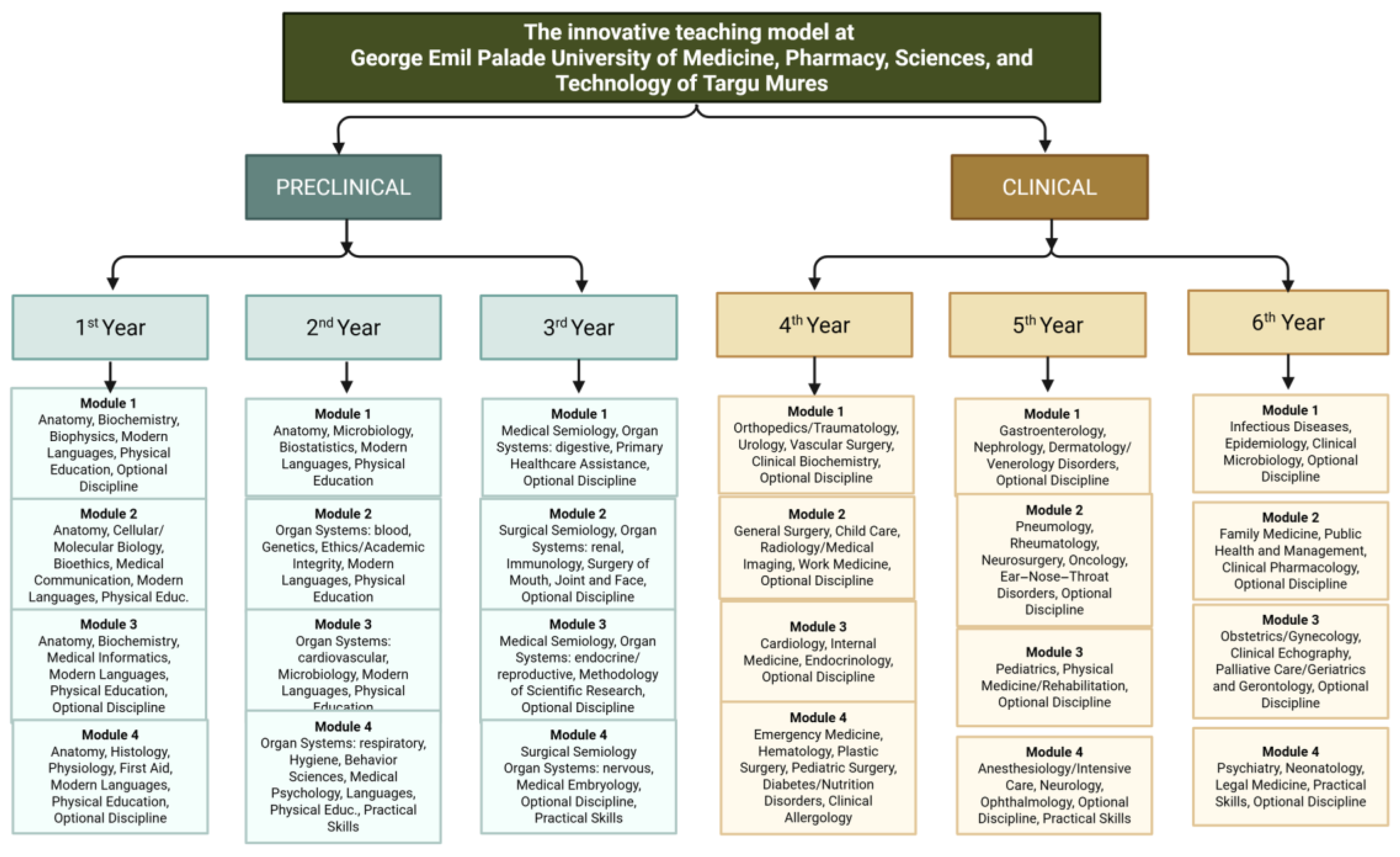 Education 15 00943 g002