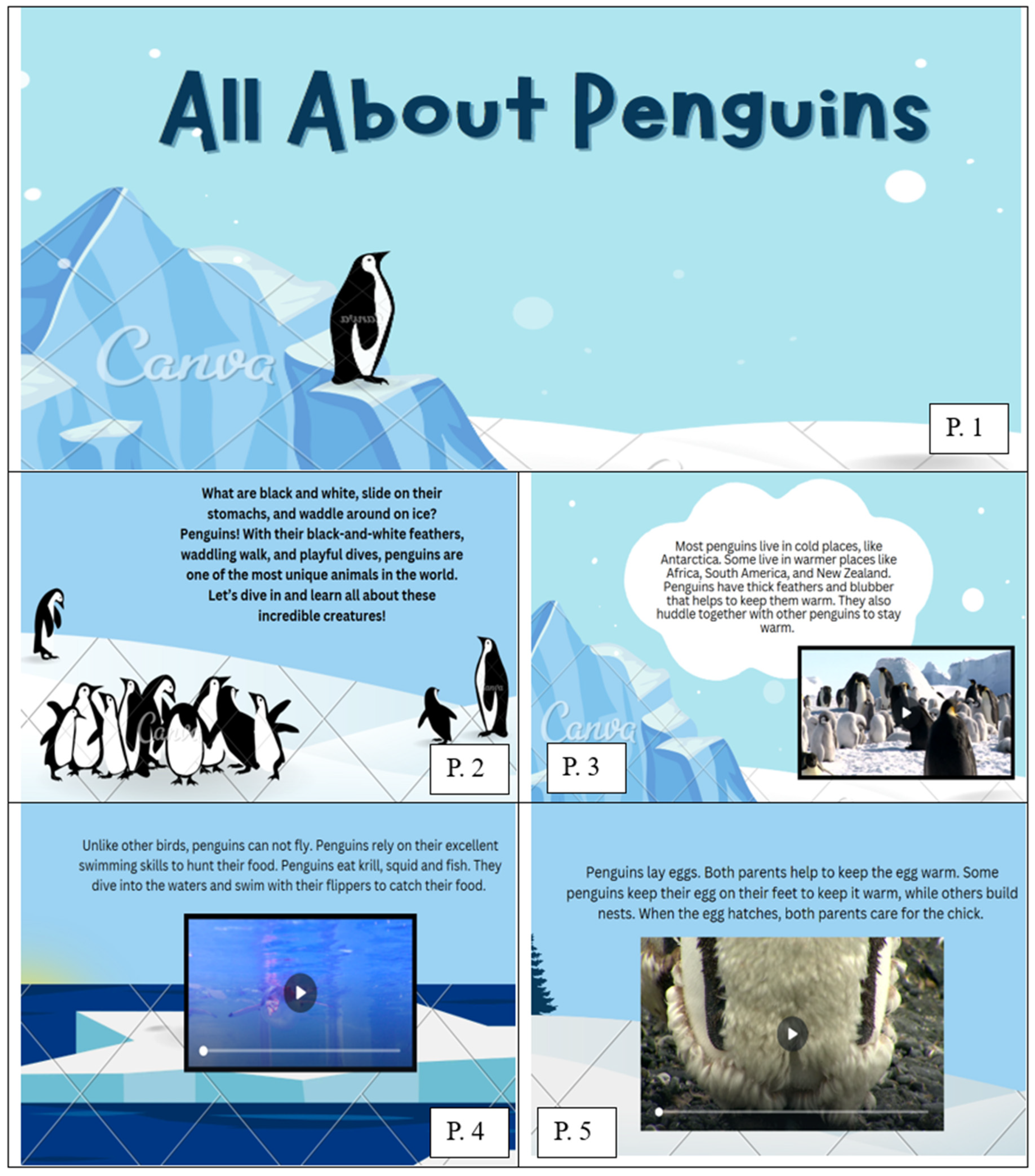 Education 15 01059 g005 Education 15 01059 g005