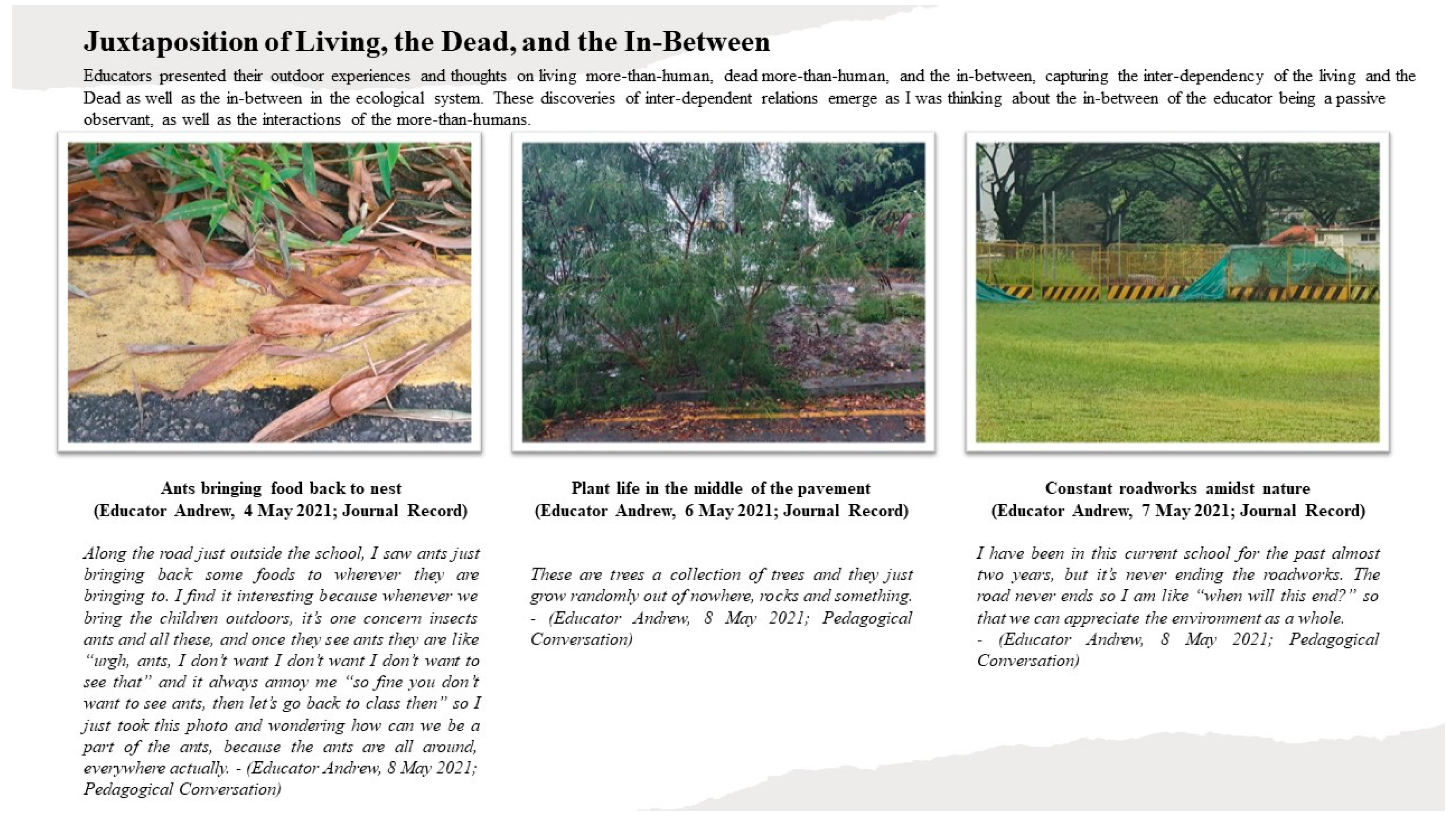 Education 15 01109 g003