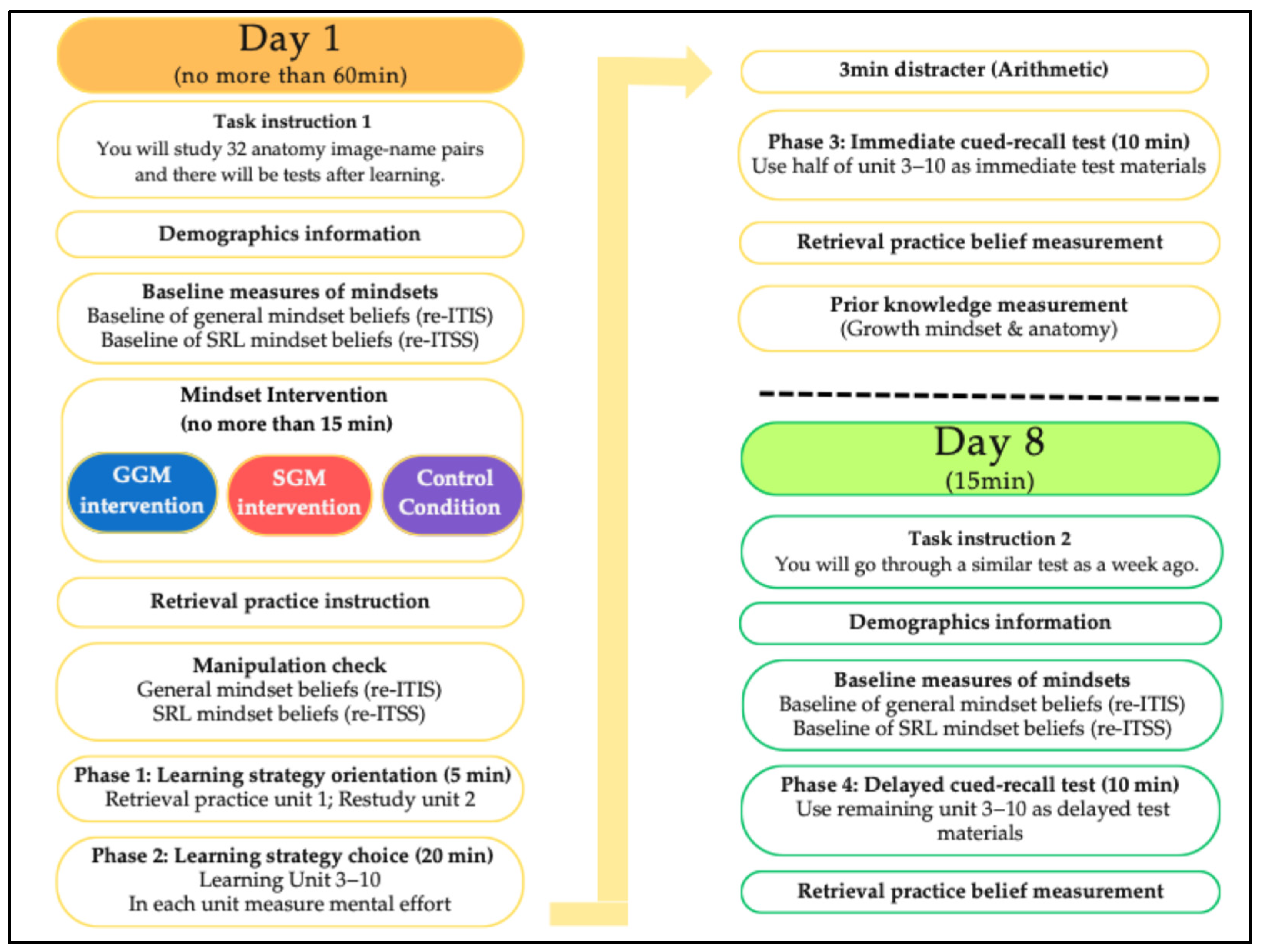 Education 15 01267 g002