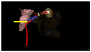 Education 15 01267 i001