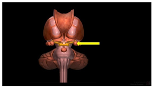 Education 15 01267 i002